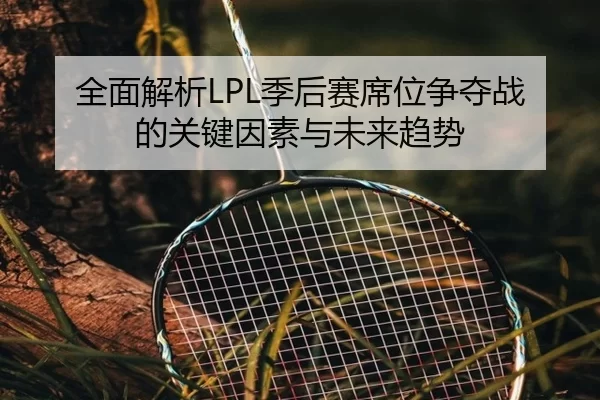 全面解析LPL季后赛席位争夺战的关键因素与未来趋势